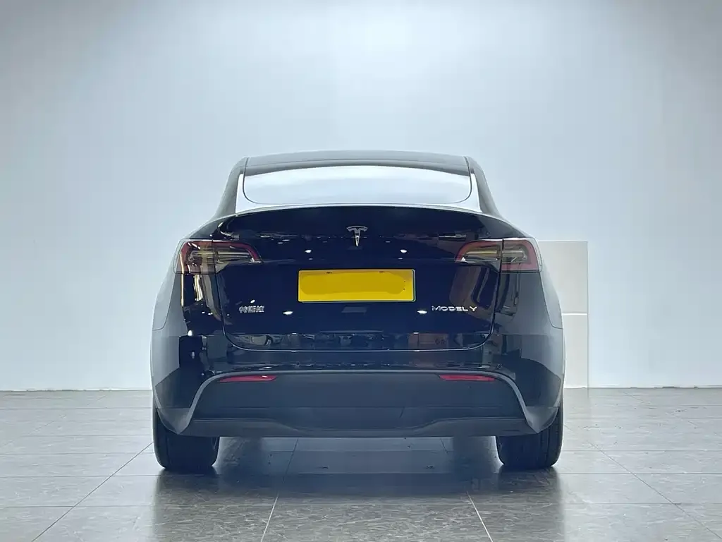 Tesla Model Y 2022 из CN, фото 6