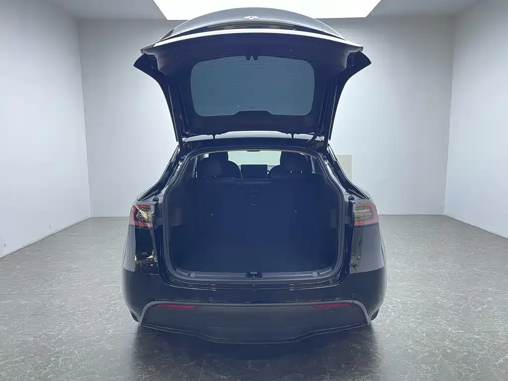 Tesla Model Y 2022 из CN, фото 4