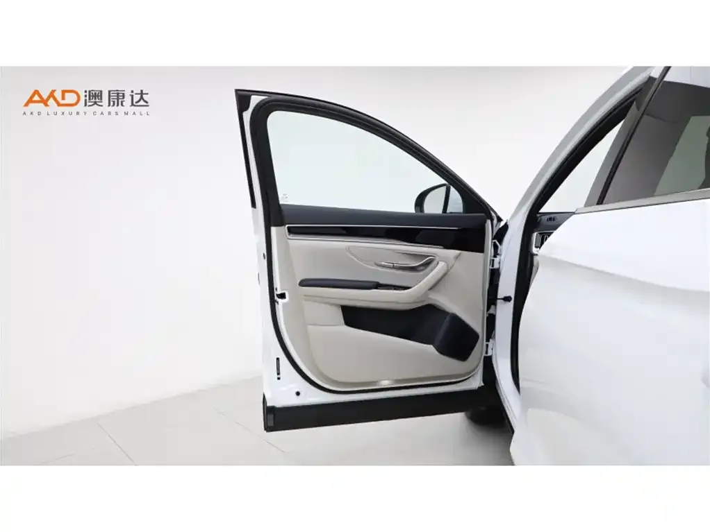 BYD PLUS New Energy 2023 из CN, фото 4