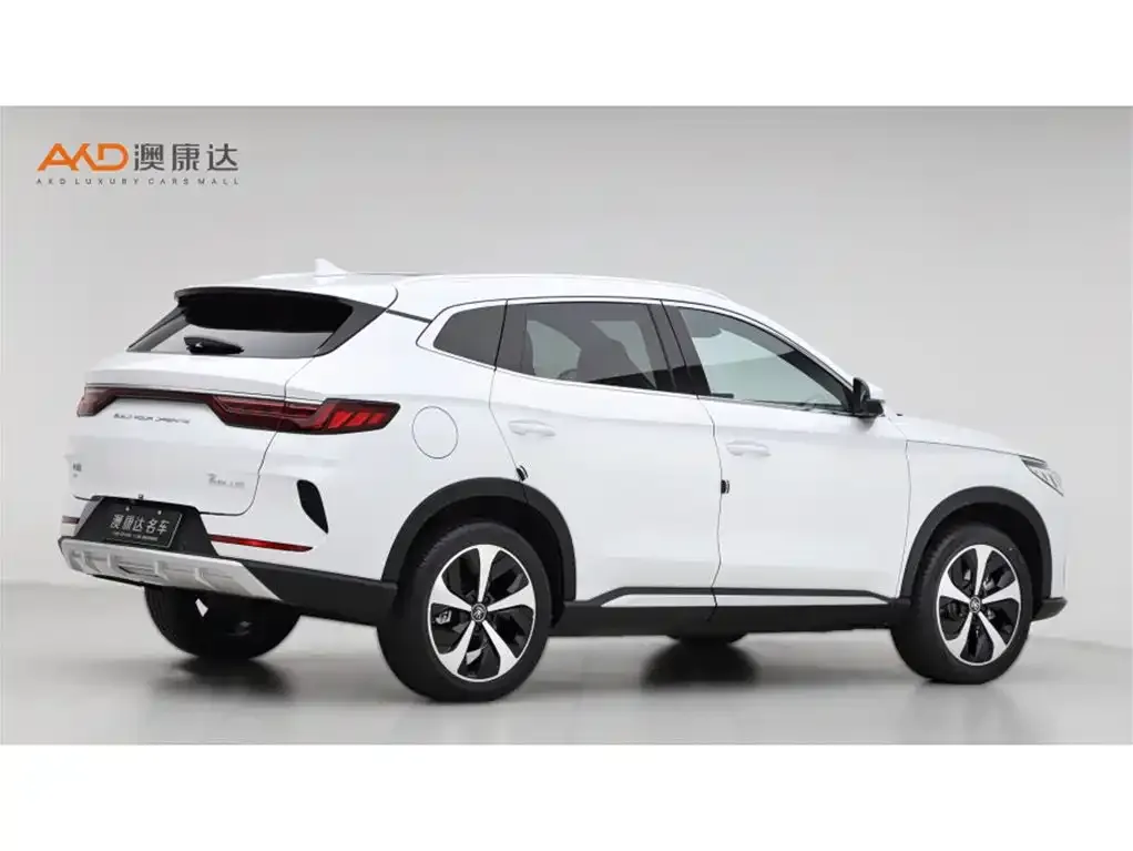 BYD PLUS New Energy 2023 из CN, фото 8