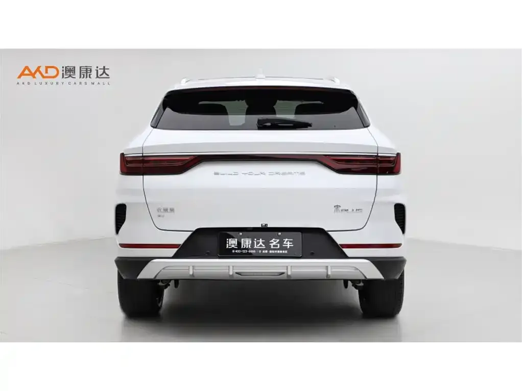 BYD PLUS New Energy 2023 из CN, фото 3