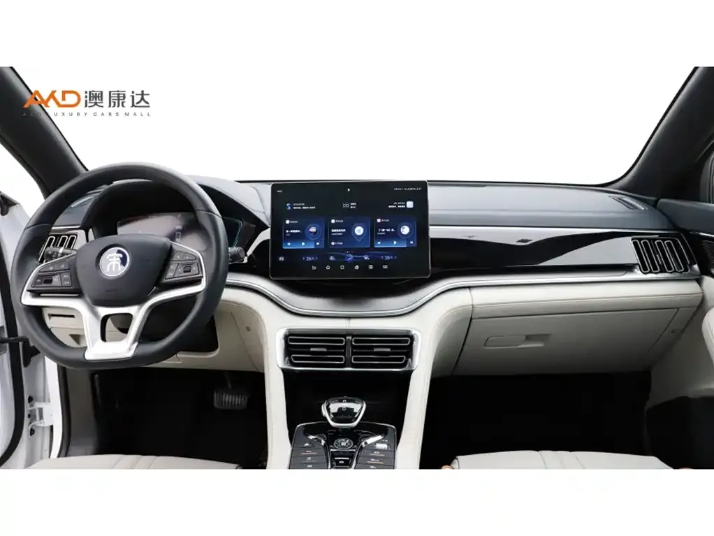 BYD PLUS New Energy 2023 из CN, фото 7