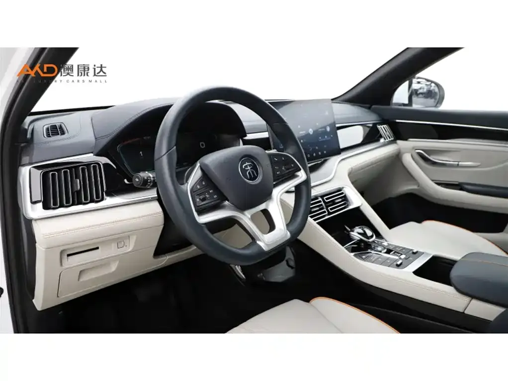 BYD PLUS New Energy 2023 из CN, фото 2