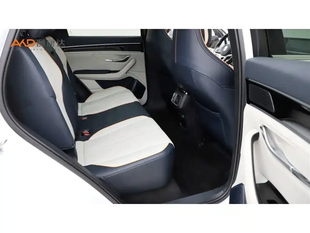BYD PLUS New Energy 2023 из CN, фото 5