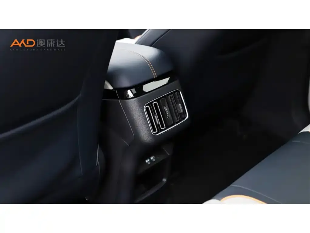 BYD PLUS New Energy 2023 из CN, фото 6