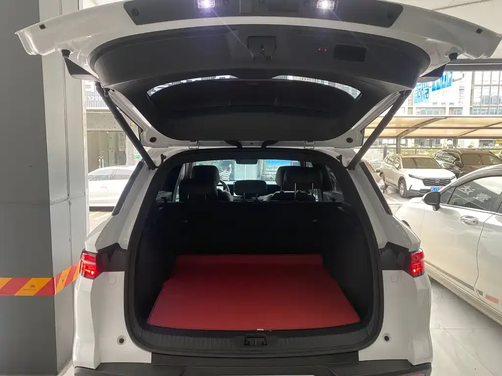 BYD Pro New Energy — фото 8