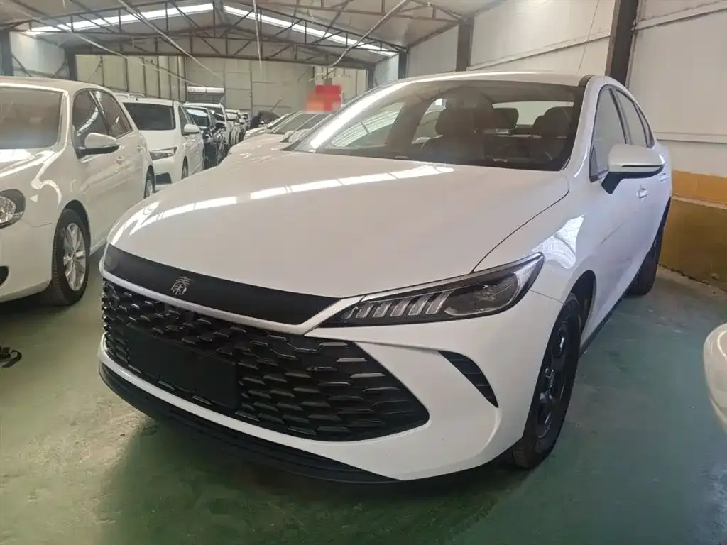 BYD Qin PLUS 2025 из CN, фото 1