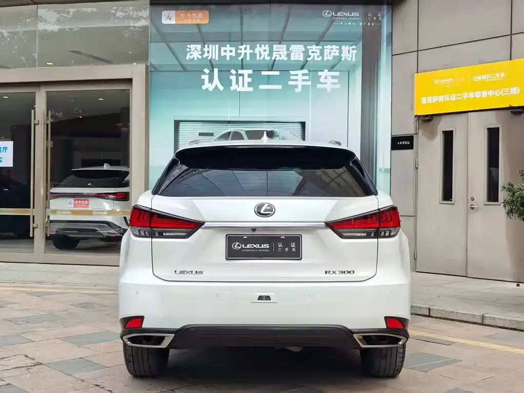 Lexus RX 2022 из CN, фото 5