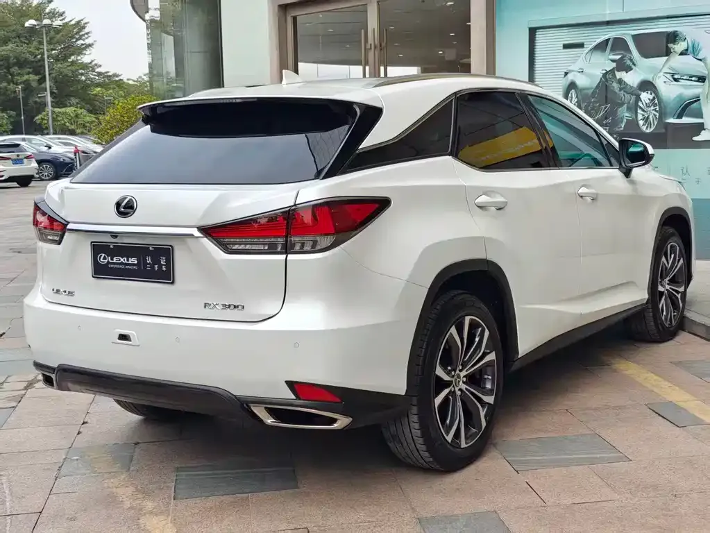 Lexus RX 2022 из CN, фото 8