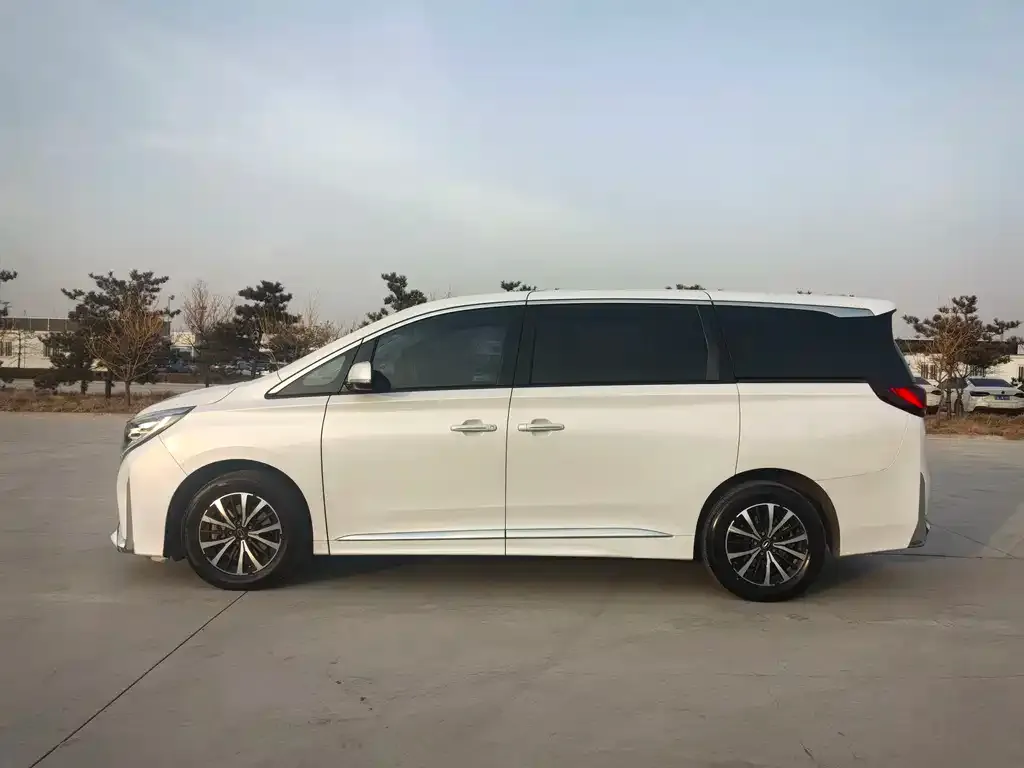 GAC Motor Trumpchi M8 — фото 3