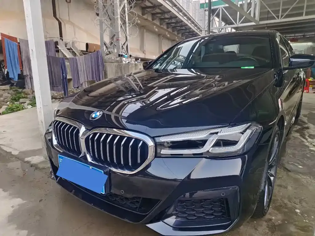 BMW 5 Series 2023 из CN, фото 10