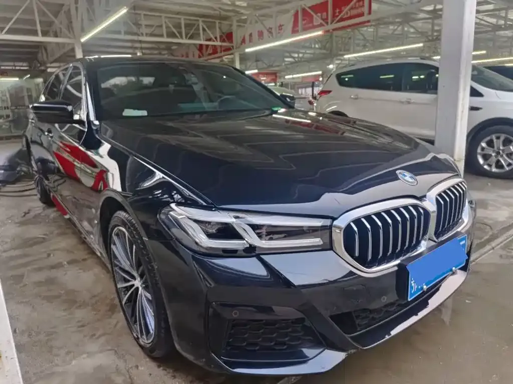 BMW 5 Series 2023 из CN, фото 3