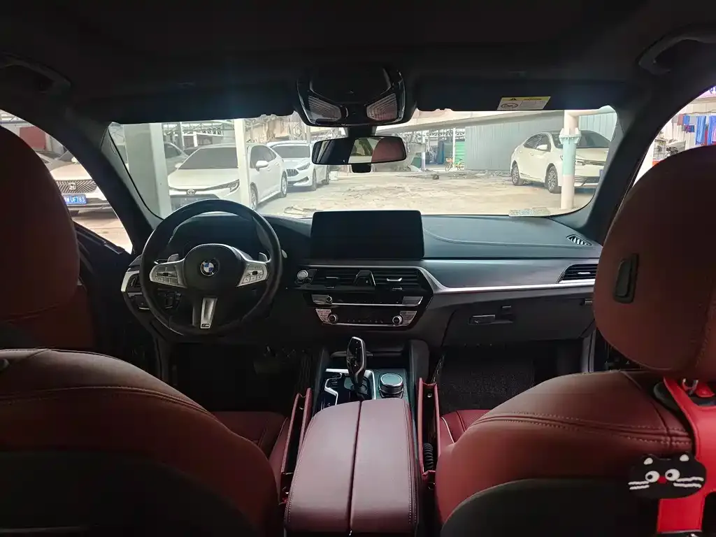 BMW 5 Series 2023 из CN, фото 6
