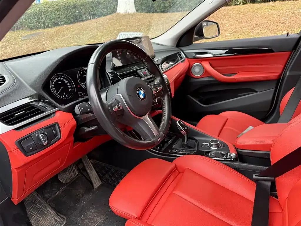 BMW X2 2023 из CN, фото 6