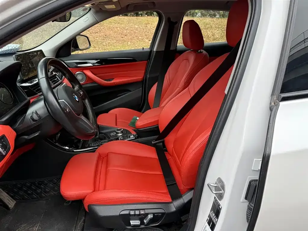 BMW X2 2023 из CN, фото 10