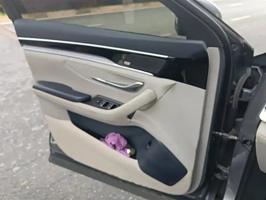 BYD PLUS New Energy 2021 из CN, фото 2