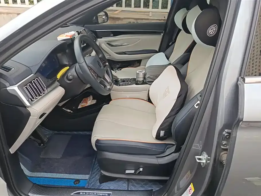 BYD PLUS New Energy 2021 из CN, фото 6