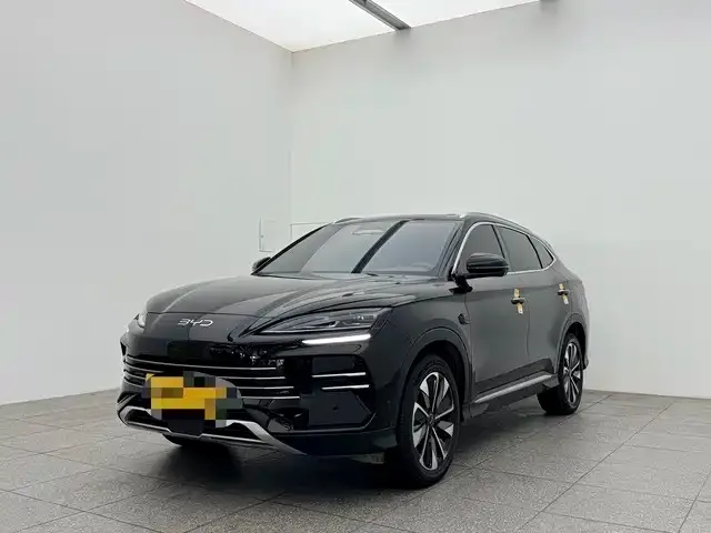BYD PLUS New Energy 2025 из CN, фото 1