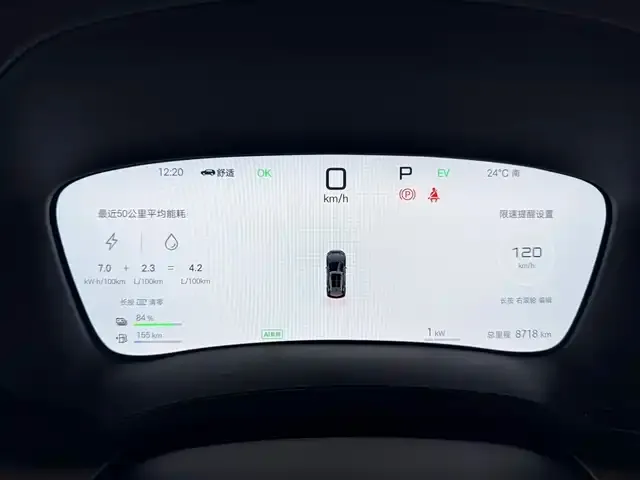 BYD PLUS New Energy 2025 из CN, фото 4