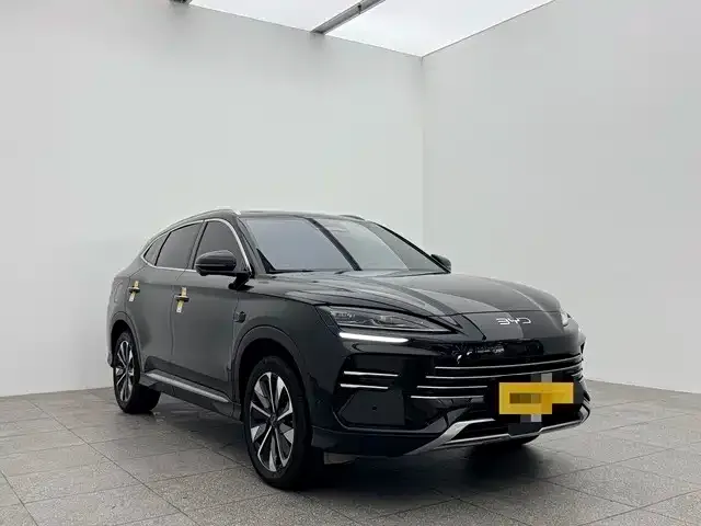BYD PLUS New Energy 2025 из CN, фото 9