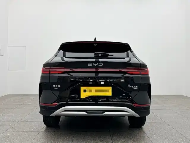BYD PLUS New Energy 2025 из CN, фото 5