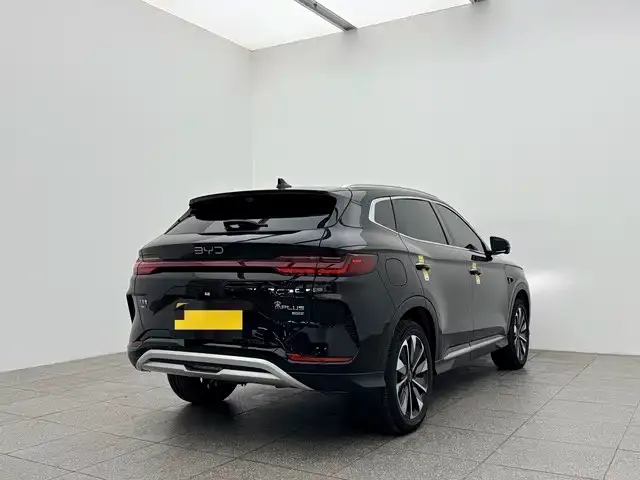 BYD PLUS New Energy 2025 из CN, фото 10