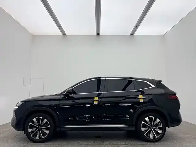 BYD PLUS New Energy 2025 из CN, фото 8