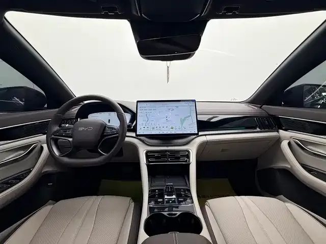 BYD PLUS New Energy 2025 из CN, фото 2