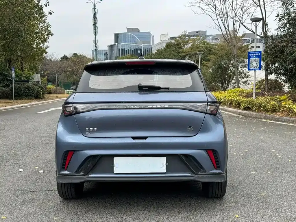 BYD Dolphin 2023 из CN, фото 8