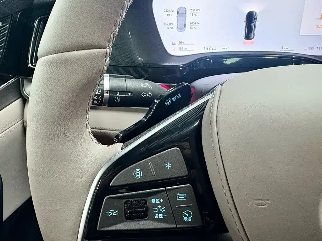 BYD Tang New Energy 2025 из CN, фото 9