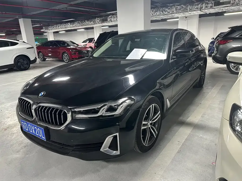 BMW 5 Series 2021 из CN, фото 1