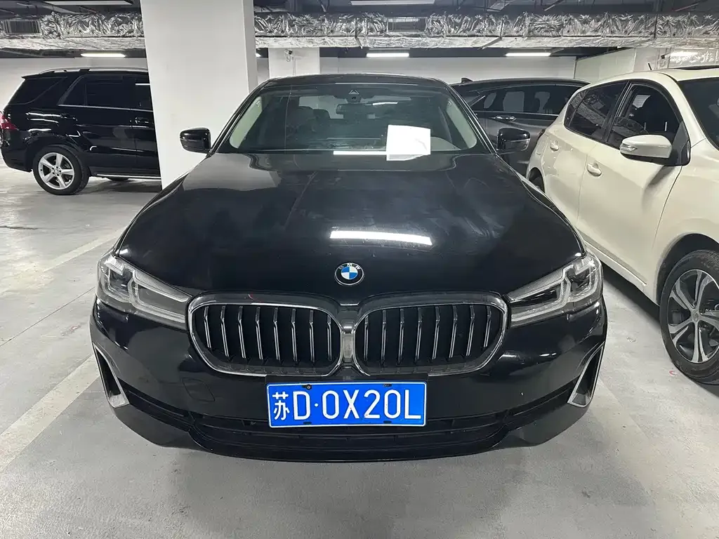 BMW 5 Series 2021 из CN, фото 7