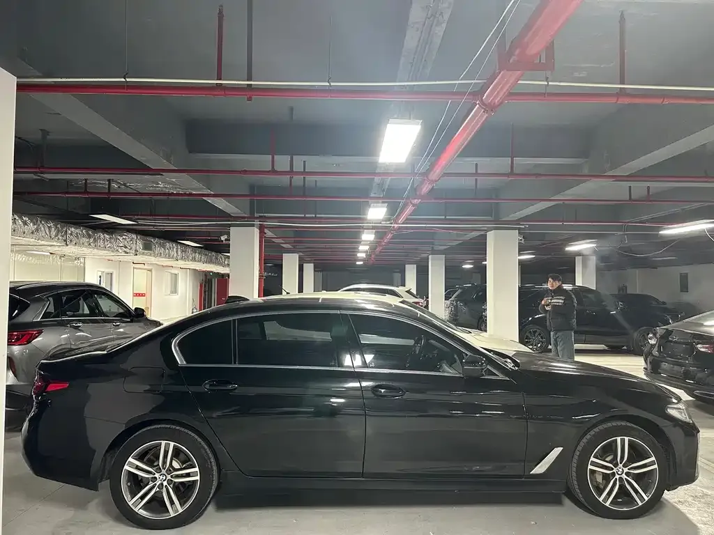 BMW 5 Series 2021 из CN, фото 6