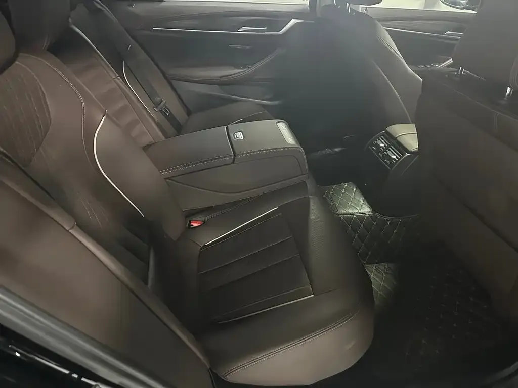 BMW 5 Series 2021 из CN, фото 2