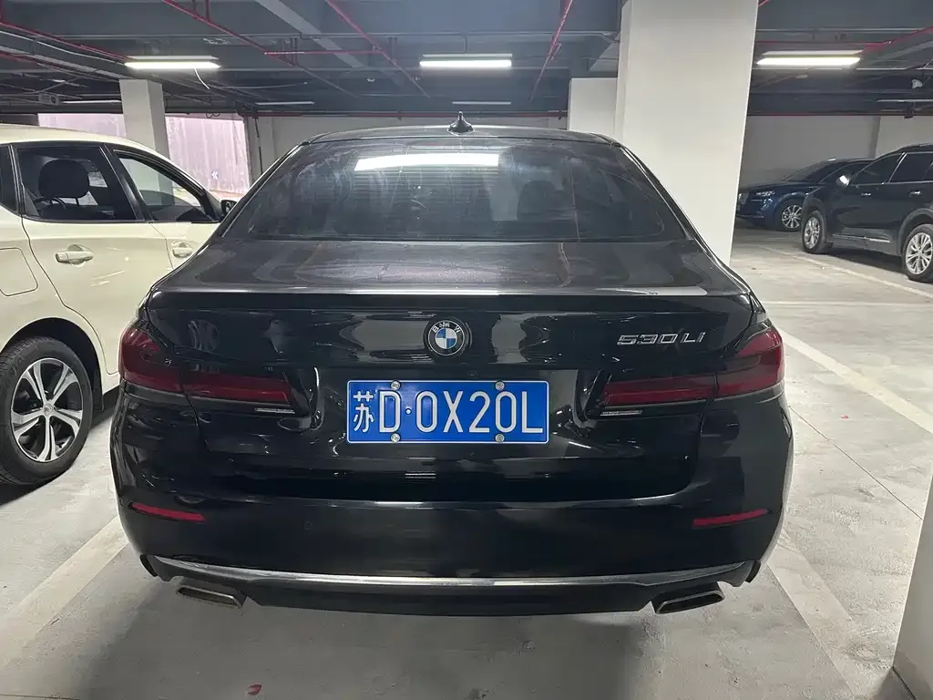 BMW 5 Series 2021 из CN, фото 4
