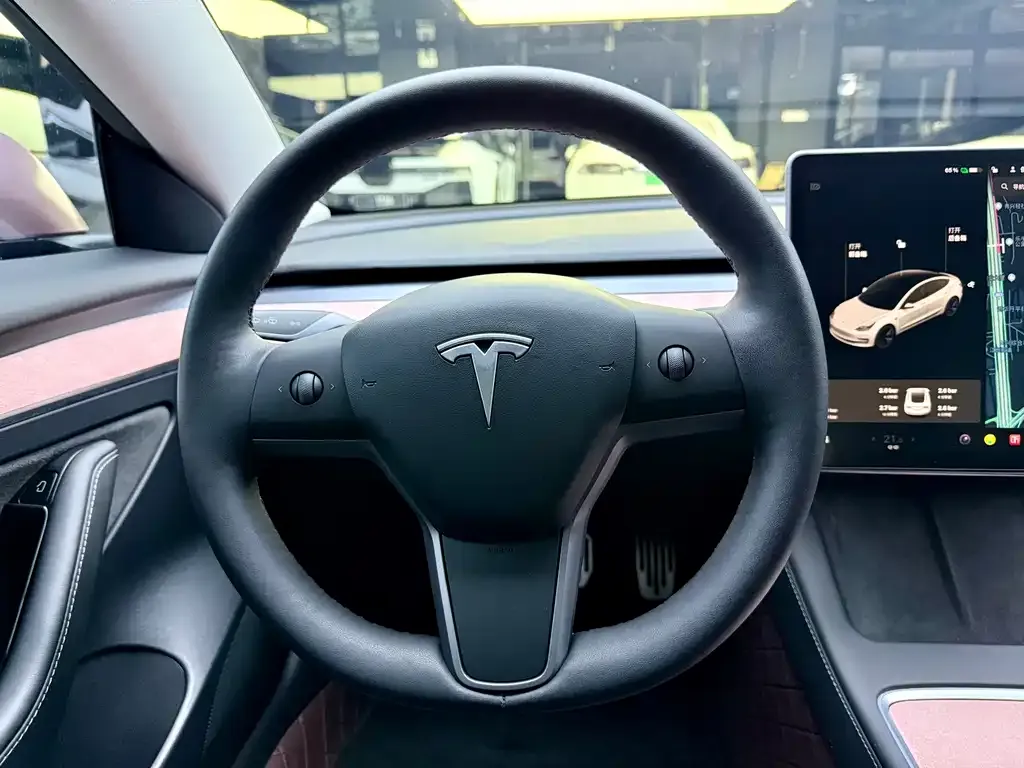 Tesla Model 3 2021 из CN, фото 3