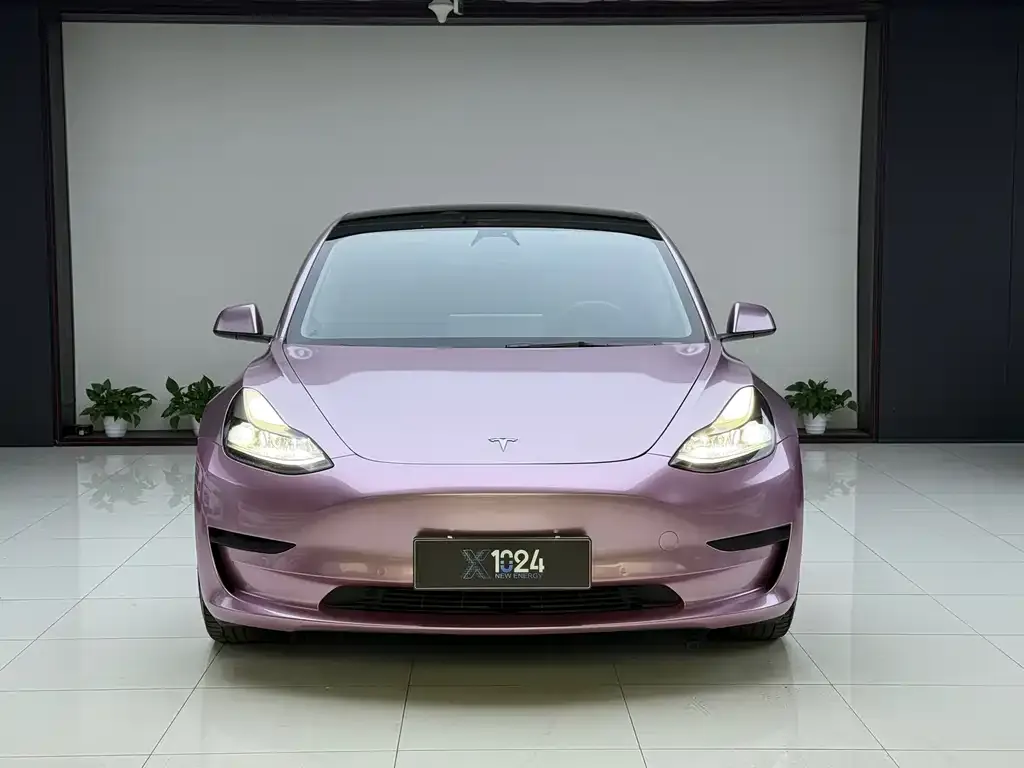 Tesla Model 3 2021 из CN, фото 9