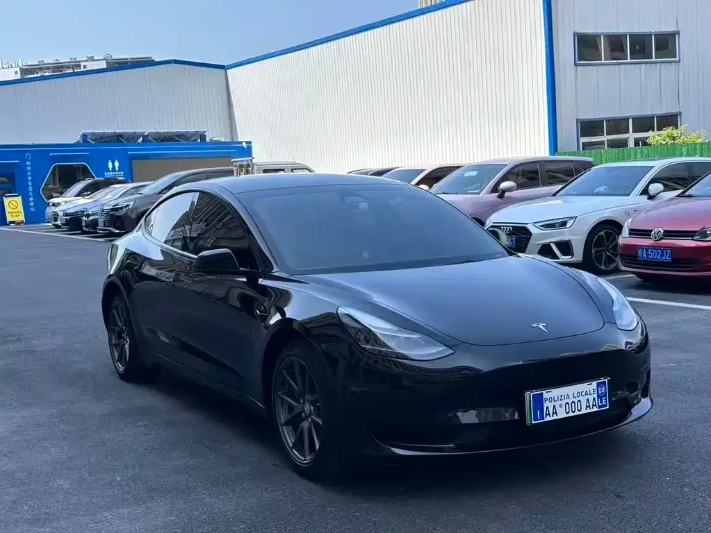 Tesla Model 3 2021 из CN, фото 8