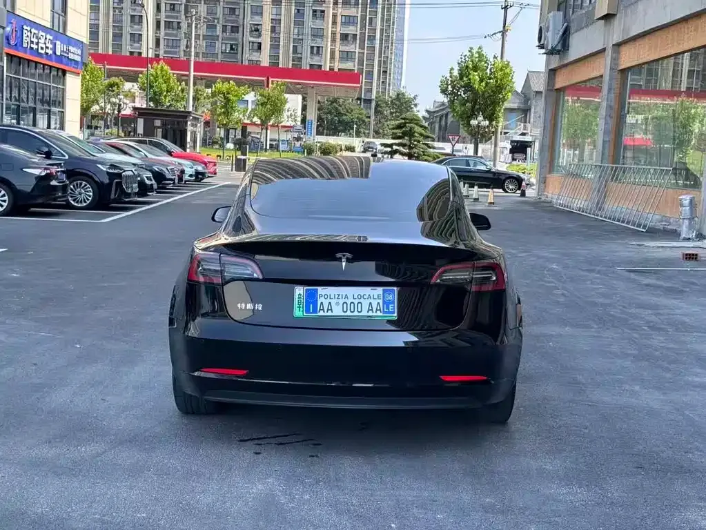 Tesla Model 3 2021 из CN, фото 3