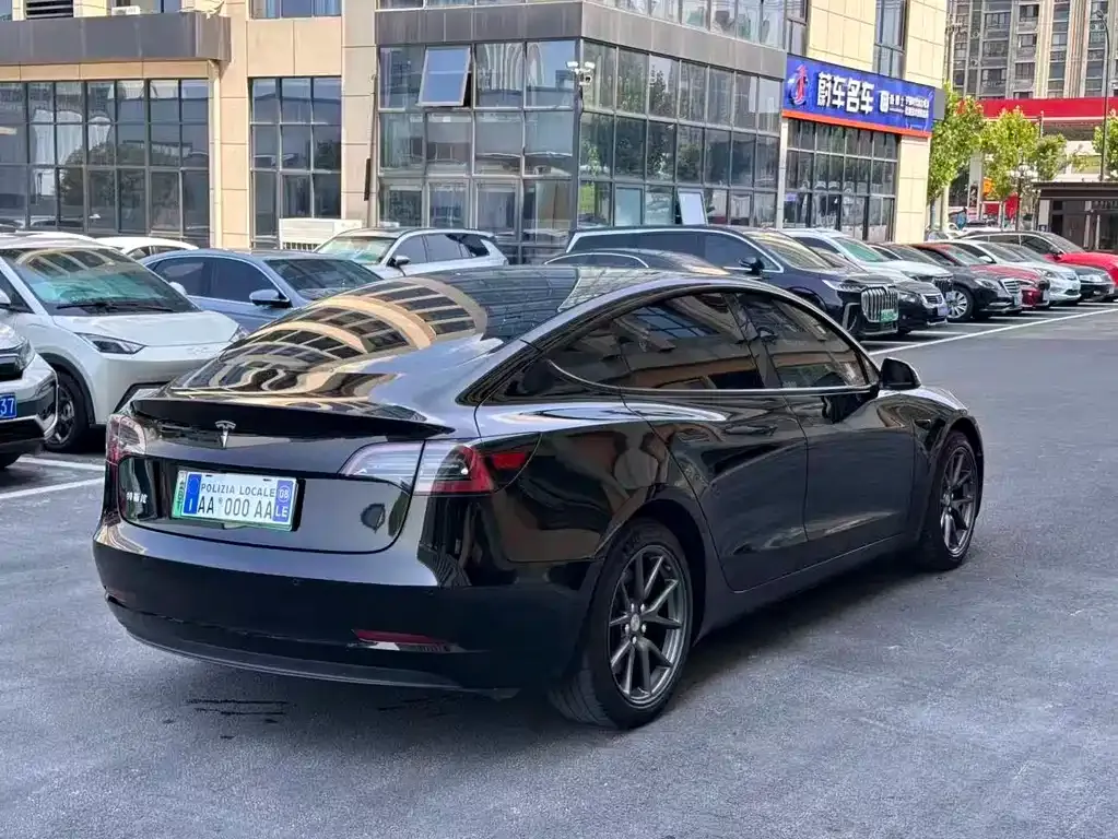 Tesla Model 3 2021 из CN, фото 6