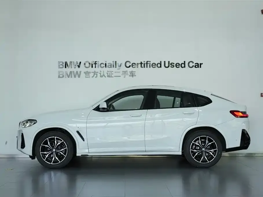 BMW X4 2022 из CN, фото 7