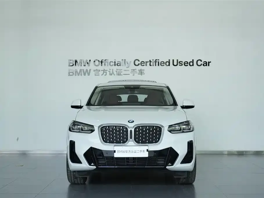 BMW X4 2022 из CN, фото 6