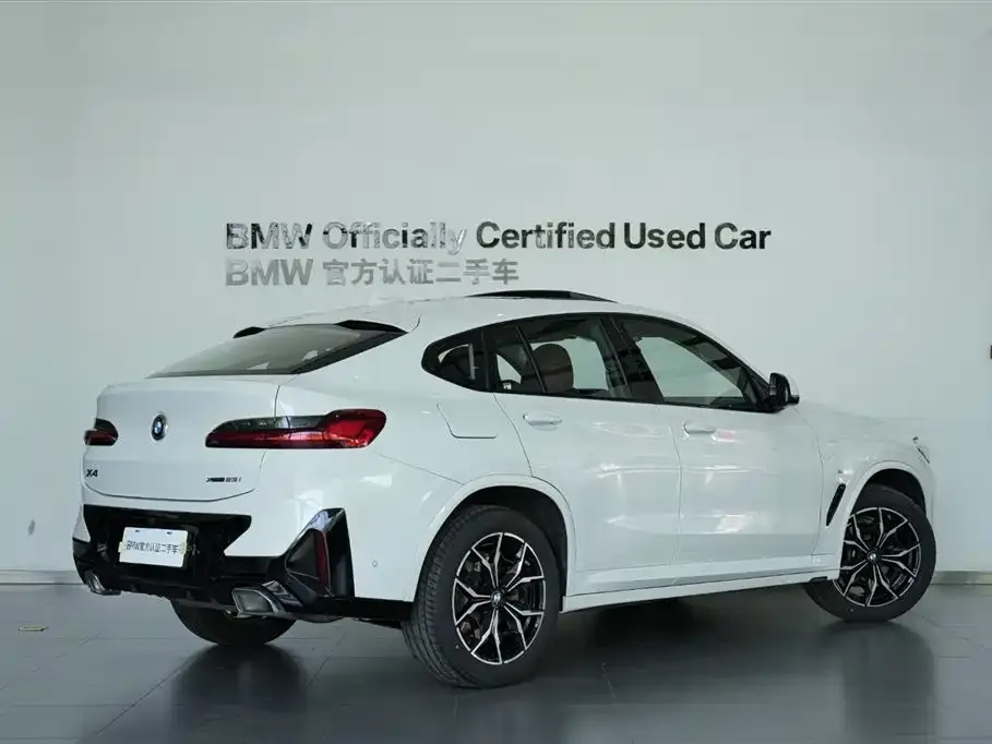 BMW X4 2022 из CN, фото 8