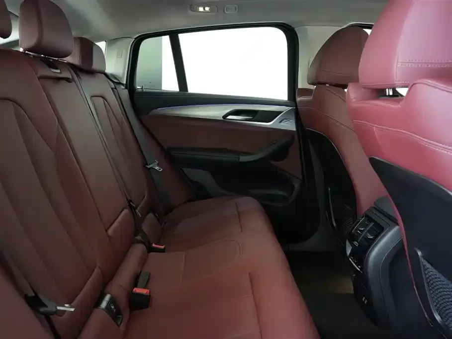 BMW X4 2022 из CN, фото 3