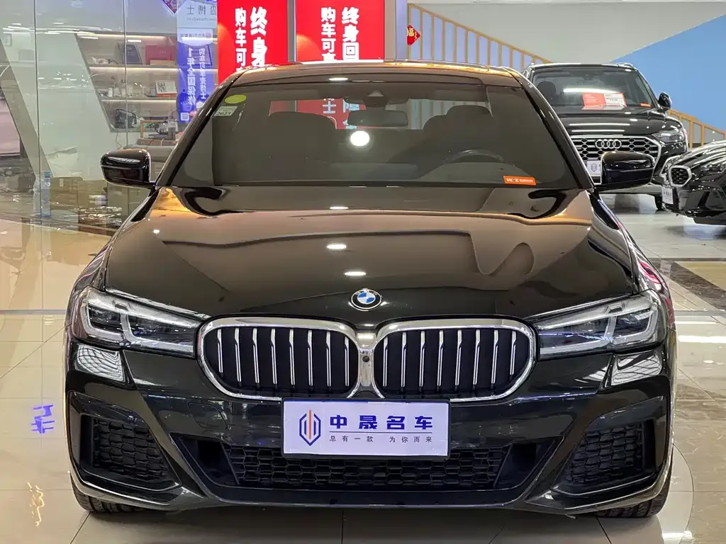 BMW 5 Series 2021 из CN, фото 8