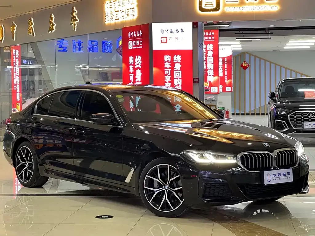 BMW 5 Series 2021 из CN, фото 4