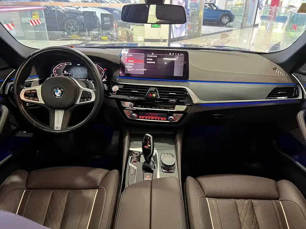 BMW 5 Series 2021 из CN, фото 10