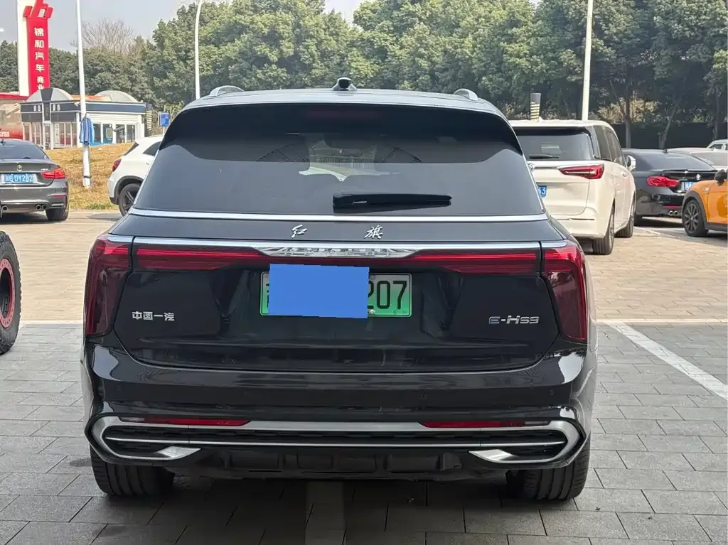 Hongqi E-HS9 — фото 4
