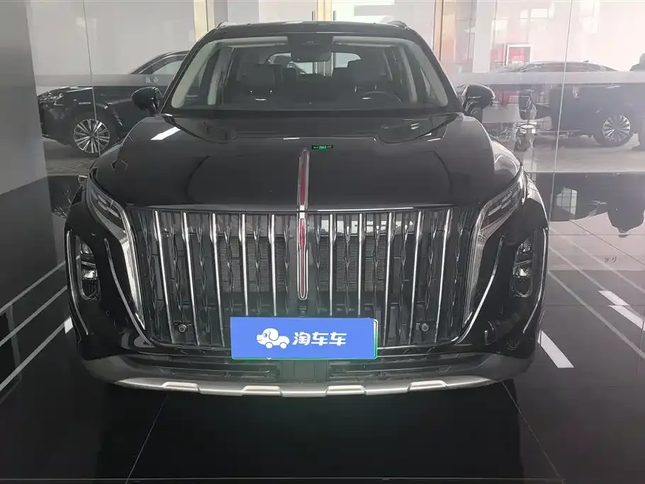 Hongqi HS7 PHEV 2024 из CN, фото 9