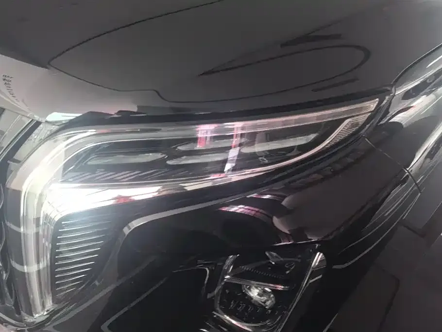 Hongqi HS7 PHEV 2024 из CN, фото 10